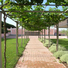South Downs Cellars