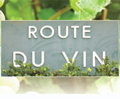 Join the Wine Club